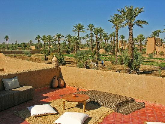 palmeraie de skoura sud maroc excursion