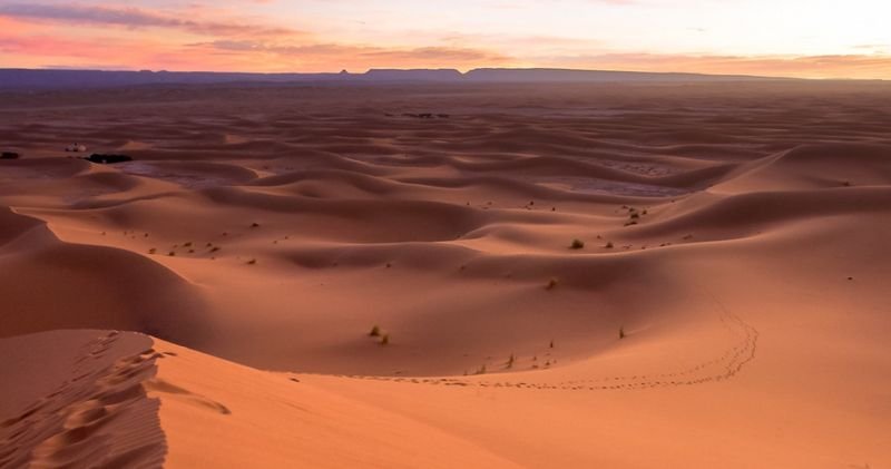 Mer de dunes orangées au coucher du soleil