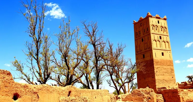 Tour en terre crue et arbres dénudés sous un ciel bleu, à Skoura