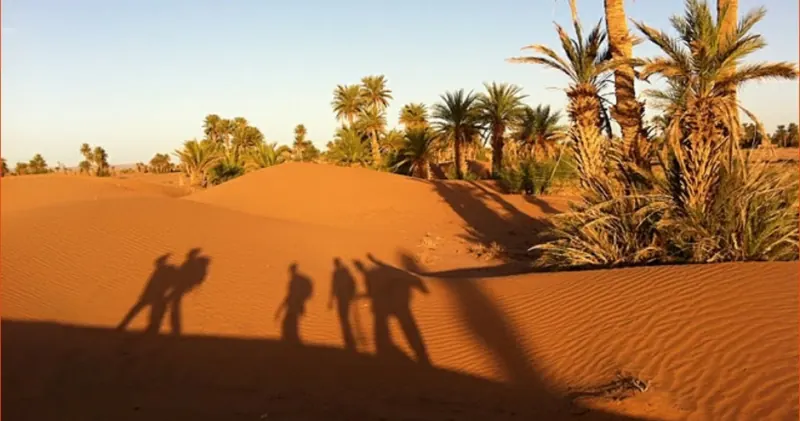 Ombres de voyageurs projetées sur une dune bordée de palmiers