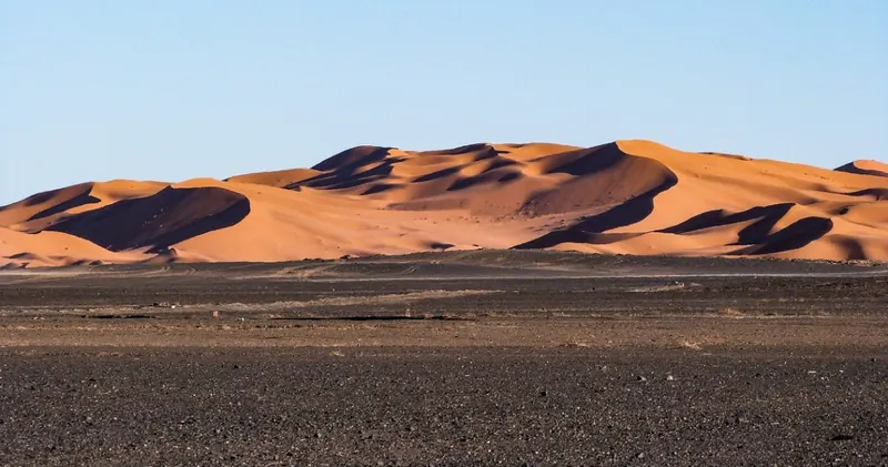 Sahara Express