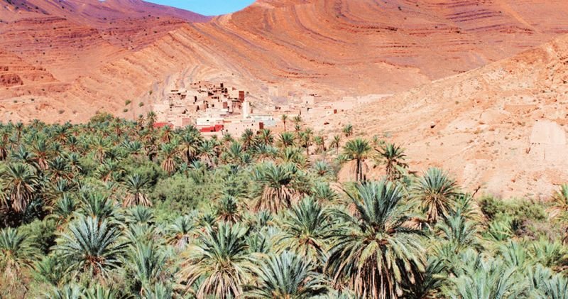 Pistes des Oasis
